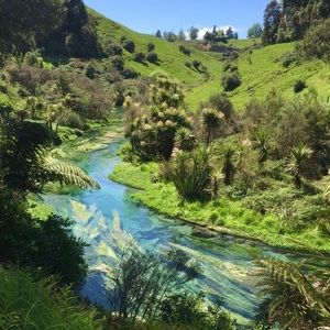 Meet your Posher, Joanna